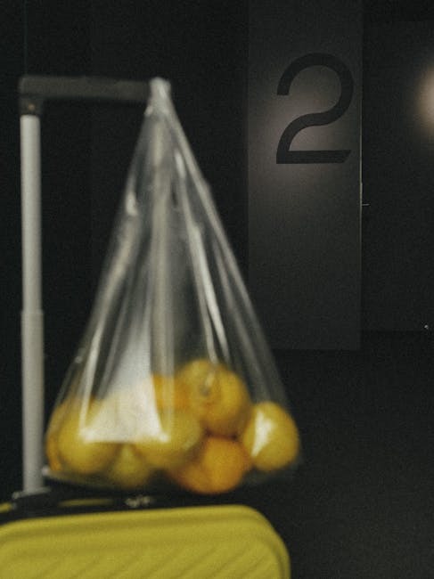 Guided Meditation Session